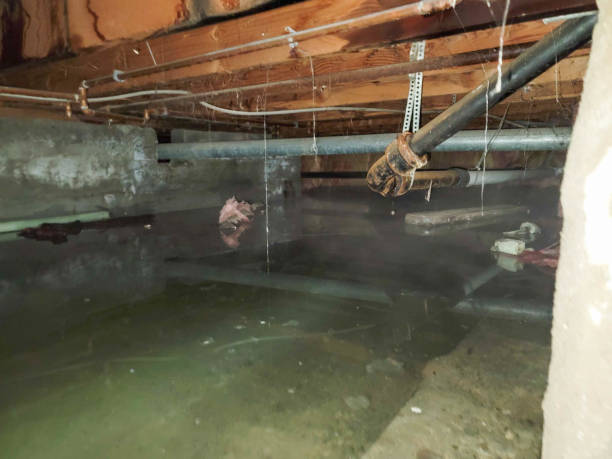 Best Flood restoration services  in Asheboro, NC