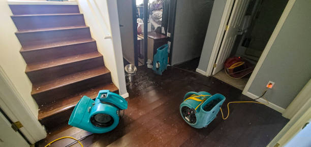 Best 24-hour water damage restoration  in Asheboro, NC