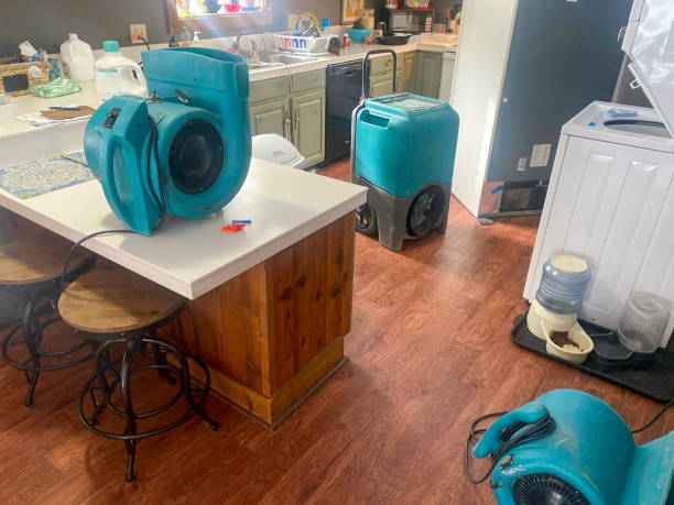 Best Basement water damage restoration  in Asheboro, NC