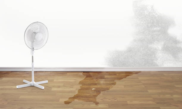 Best 24-hour water damage restoration  in Asheboro, NC