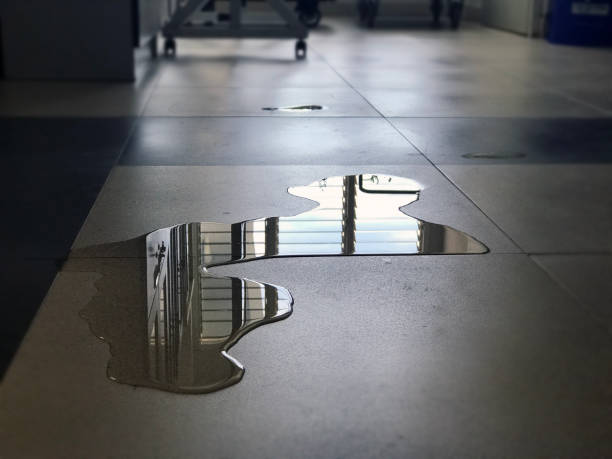 Best Water damage mitigation services  in Asheboro, NC