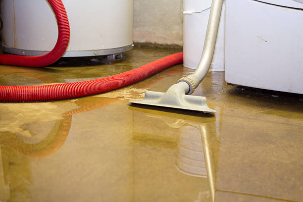 Best Flood restoration services  in Asheboro, NC