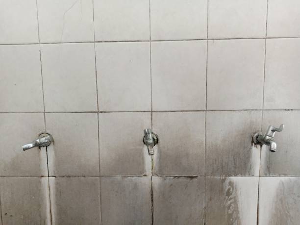 Best Commercial water damage restoration  in Asheboro, NC