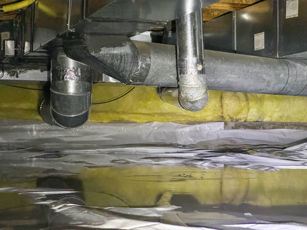 Best Flood damage cleanup  in Asheboro, NC
