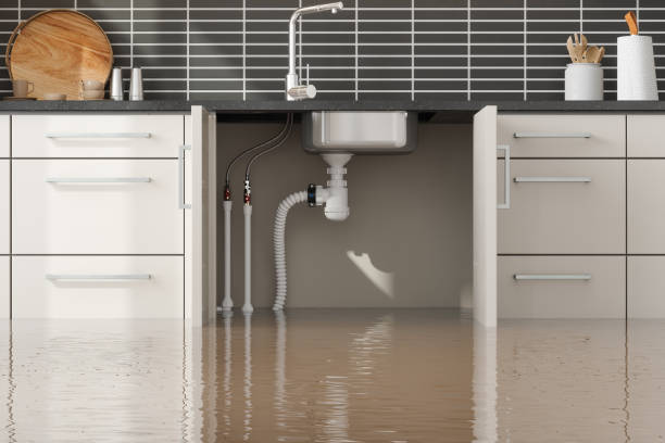 Best Water damage contractors near me  in Asheboro, NC