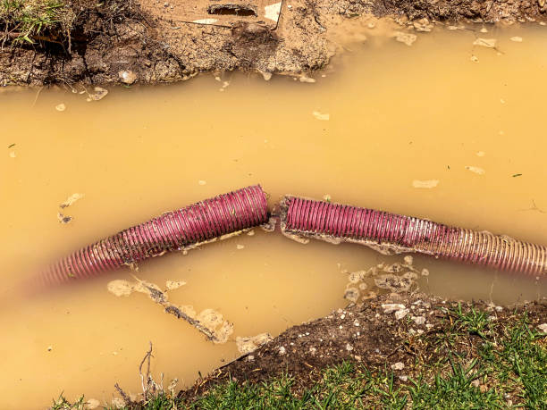Best Carpet water damage restoration  in Asheboro, NC