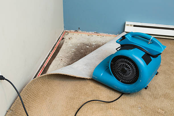 Best Emergency water damage restoration  in Asheboro, NC